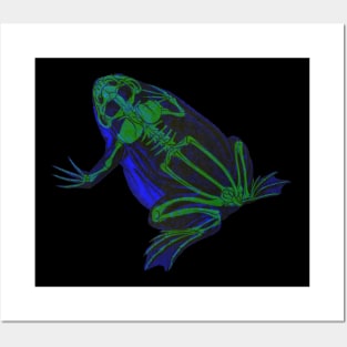 Skeleton Frog Interactive Green&Blue Filter #2 By Red&Blue Posters and Art